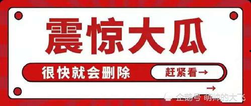 娱乐圈吃瓜合集文案,揭秘明星幕后故事与八卦传闻